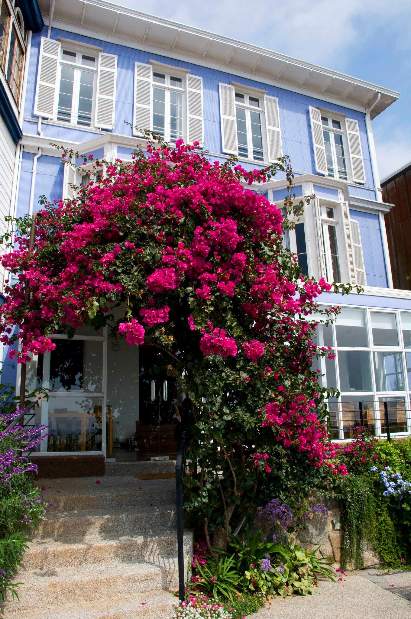 Zerohotel 4* Valparaíso